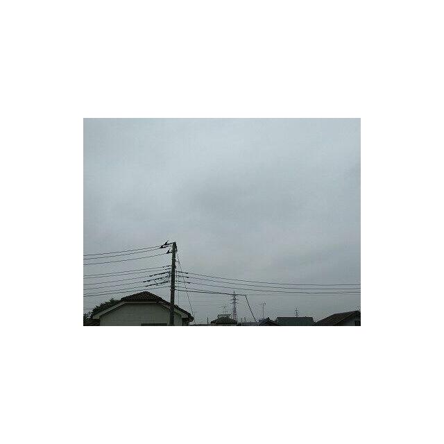 ドルフ三陽六番館 眺望