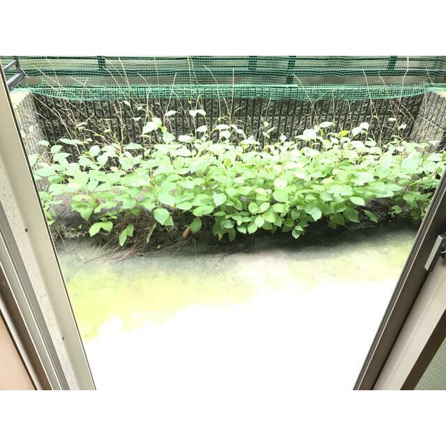 Ｕｎ　Ｂｒｉｌｌａｎｔ（アンブリアン） 専用庭