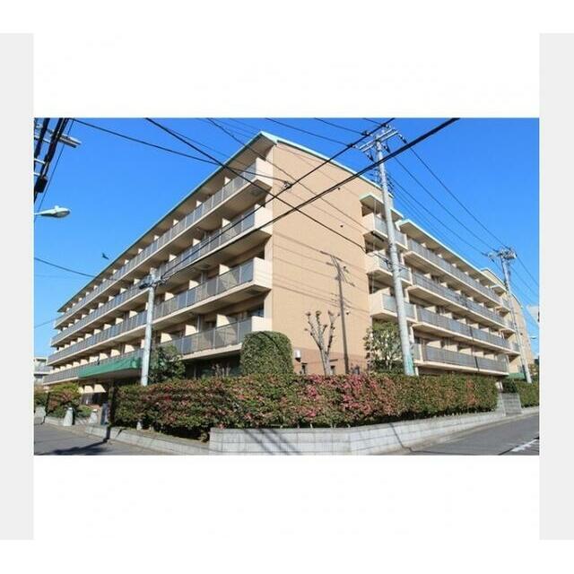 2019年4月撮影