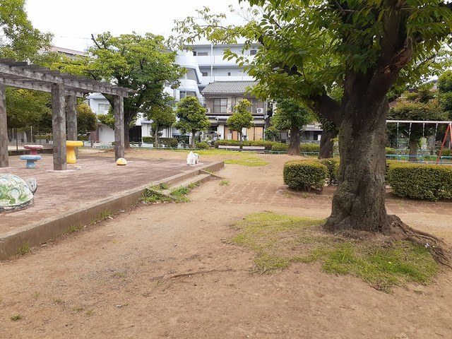 ファーストスプリング 芝後谷公園まで320m