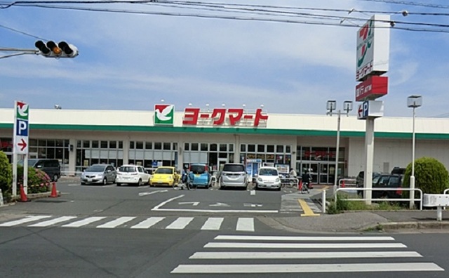 エターナル南与野　弐番館 ヨークマート　南元宿店まで600m