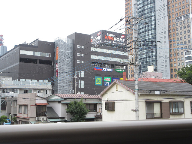 Ｍａｉｓｏｎ　Ｃａｍｅｌｉａ ホームセンター