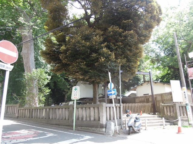 Ｂｅｌｌｅ　Ｃｌａｉｒｅ 公園
