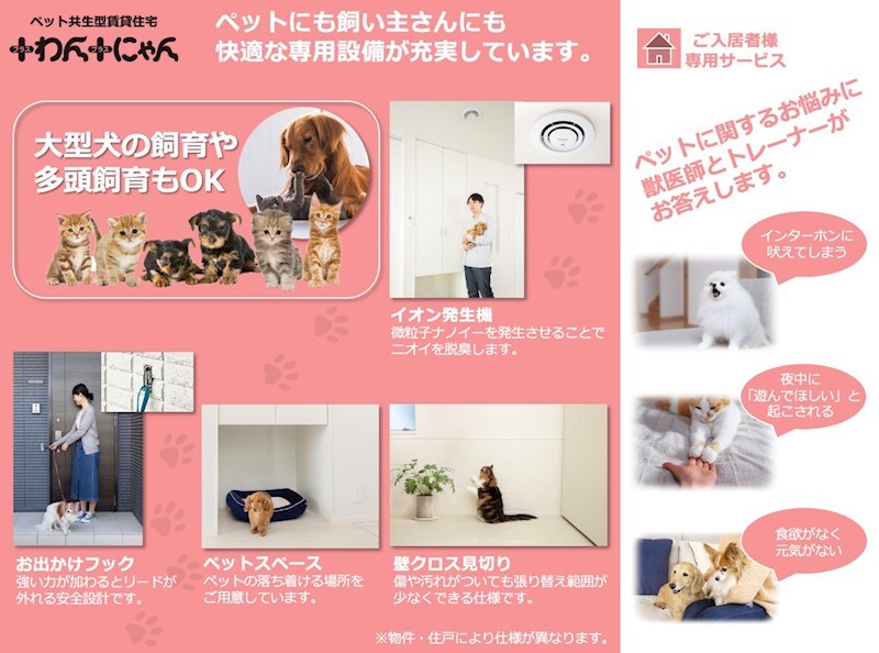 ＣＡＲＩＮＯ　ＮＯＣＥ その他